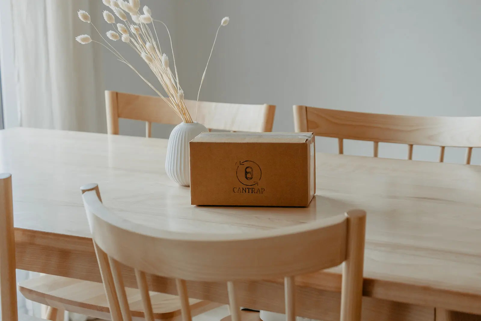 Boîte en carton sur une table, emballage du système CANTRAP.